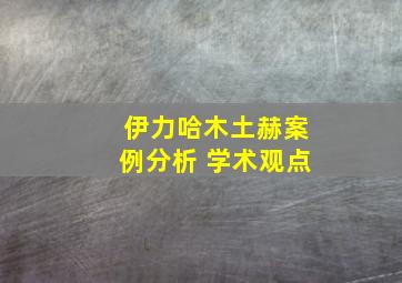 伊力哈木土赫案例分析 学术观点